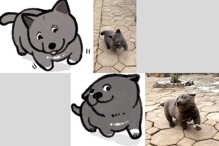Lưu ngay 100+ hình con chó meme cute, hài hước cười đứt ruột