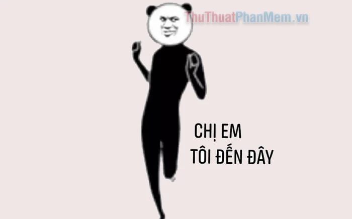 Ảnh hài chế giúp bạn giảm stress hiệu quả