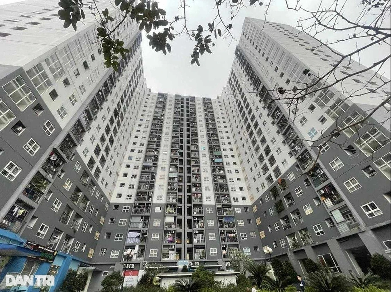 Giao dịch chững nhưng giá rao bán chung cư Hà Nội vẫn tăng như