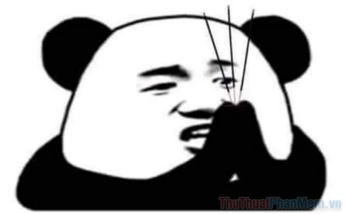 Sự Thịnh Hành Của Meme Gấu Trúc Trên Mạng Xã Hội